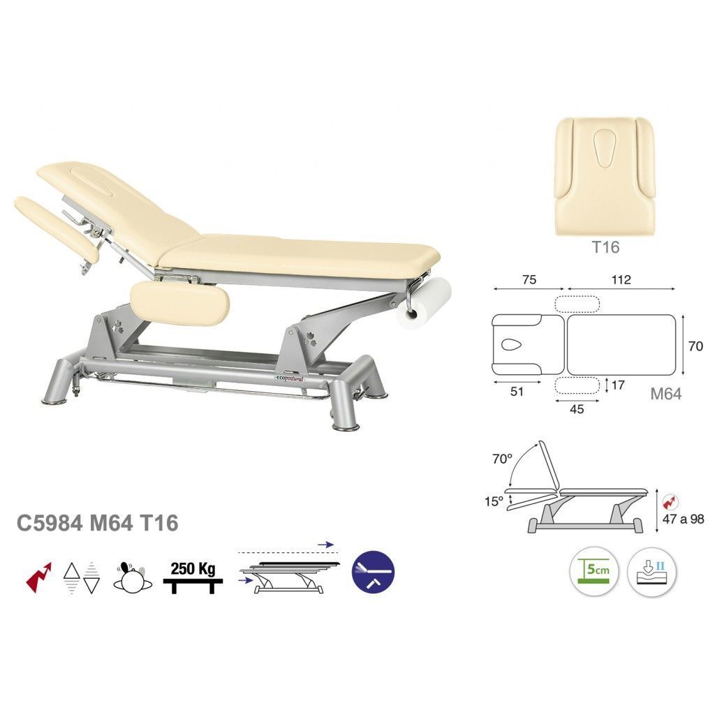 Camilla eléctrica 2 cuerpos con brazos abatibles